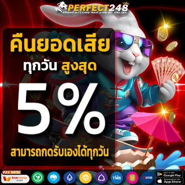 perfect248