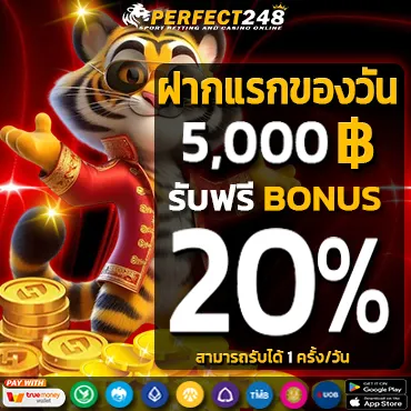 perfect248 เว็บตรง